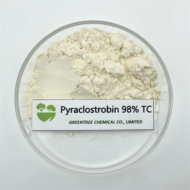 Fungicide & Bactericide Pyraclostrobine 98tc for Sale