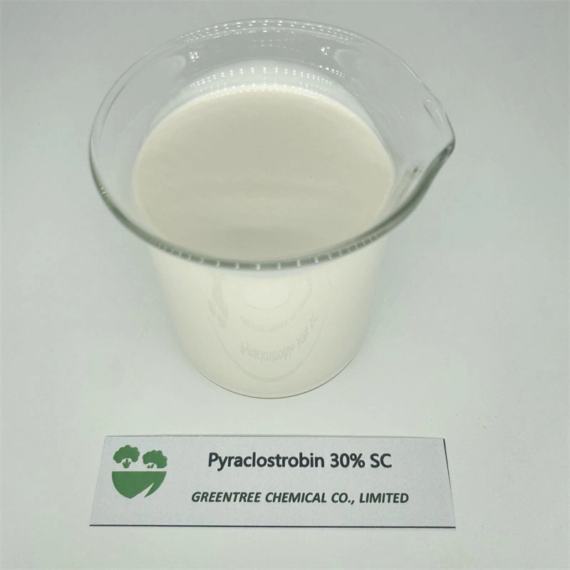 CAS No. 175013-18-0 Fungicide & Bactericide Pyraclostrobine 30% Sc for Sale